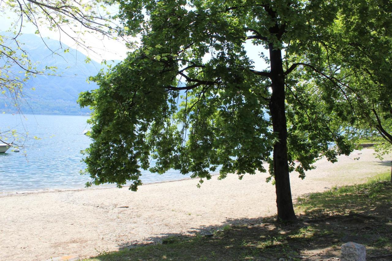 Appartamento Con Terrazza A Due Minuti Dal Lago Minusio Buitenkant foto